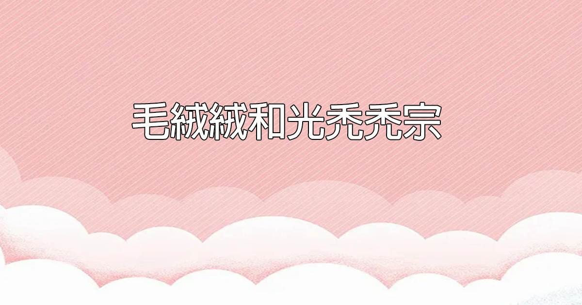 毛羢羢和光禿禿宗