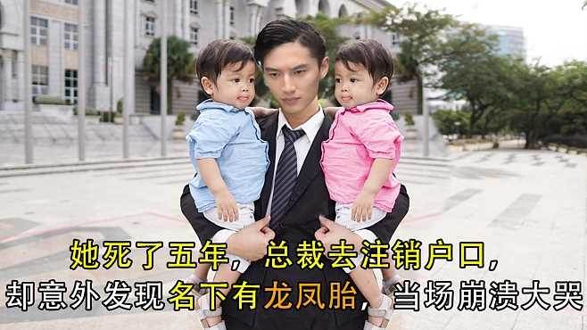 陸少的隱婚罪妻