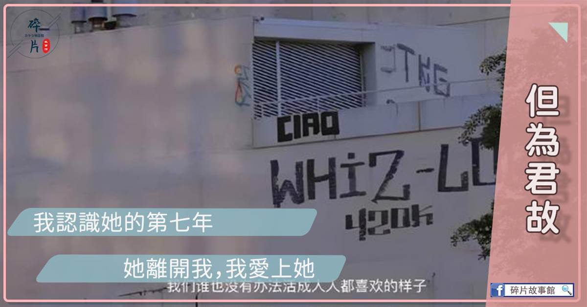 但爲君故
