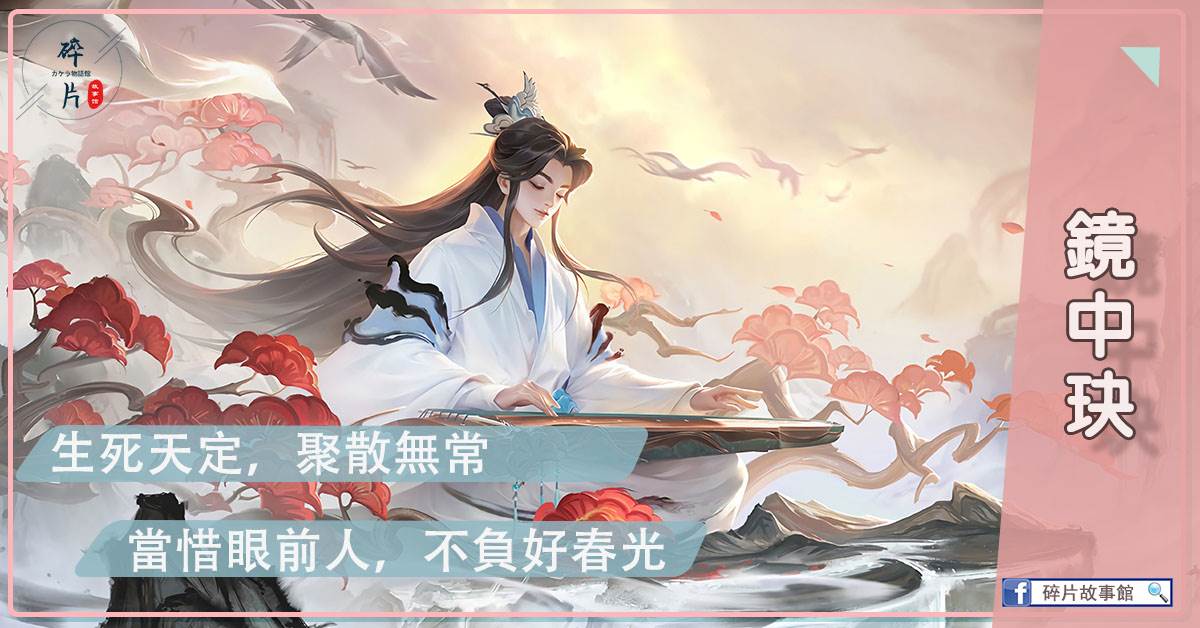 镜中玦