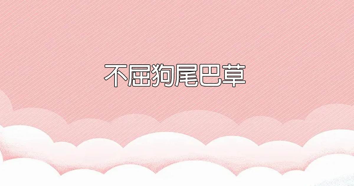 不屈狗尾巴草
