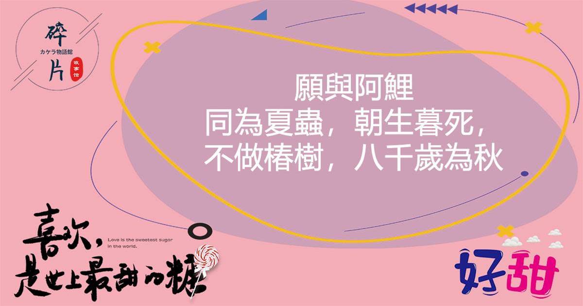 小賊王又被素質教育了